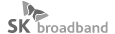 SK broadband